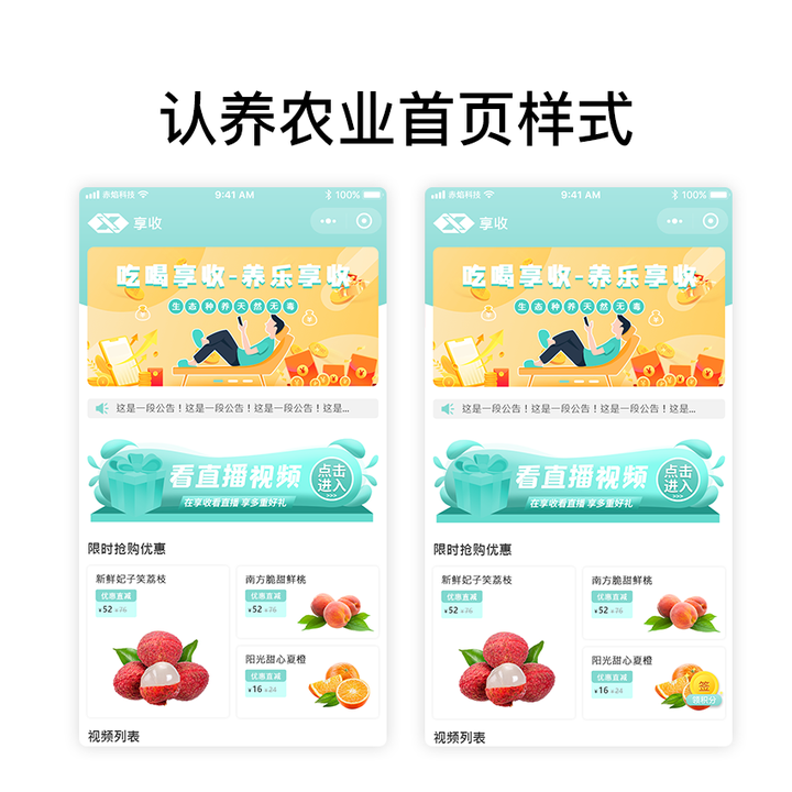 马家村青苹果认养项目：开启农业创新引擎，助力乡村全面振兴