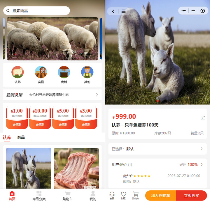 崇明白山羊认养模式：三元协同 + 全链溯源 农户年增收 3.8 万 品种保护与产业双赢