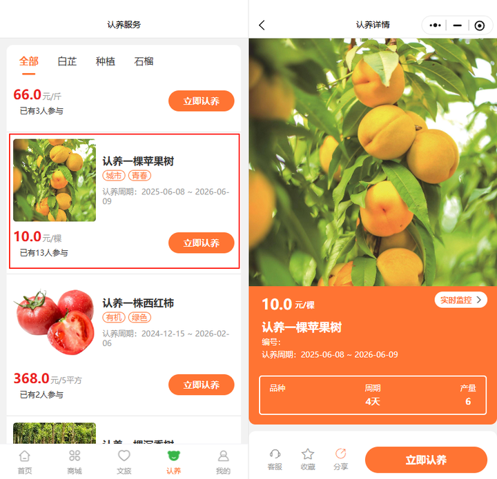 木栏村的“认养革命”：399 元一棵苹果树，重构乡村与城市的连接方式