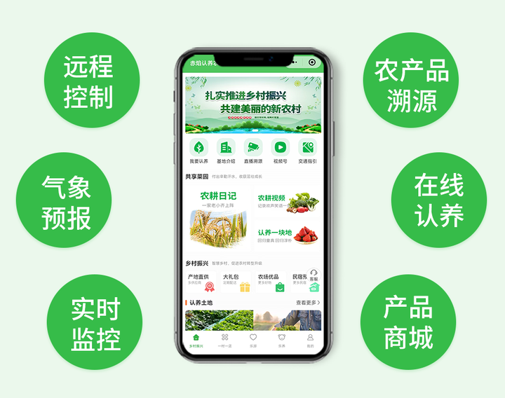青云谱区华景村：茶叶认养开启农业新模式，传统与现代共谱发展乐章