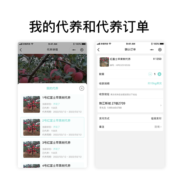 白江区黄桷村：以认养农业为引擎，驱动城乡融合与农业创新发展