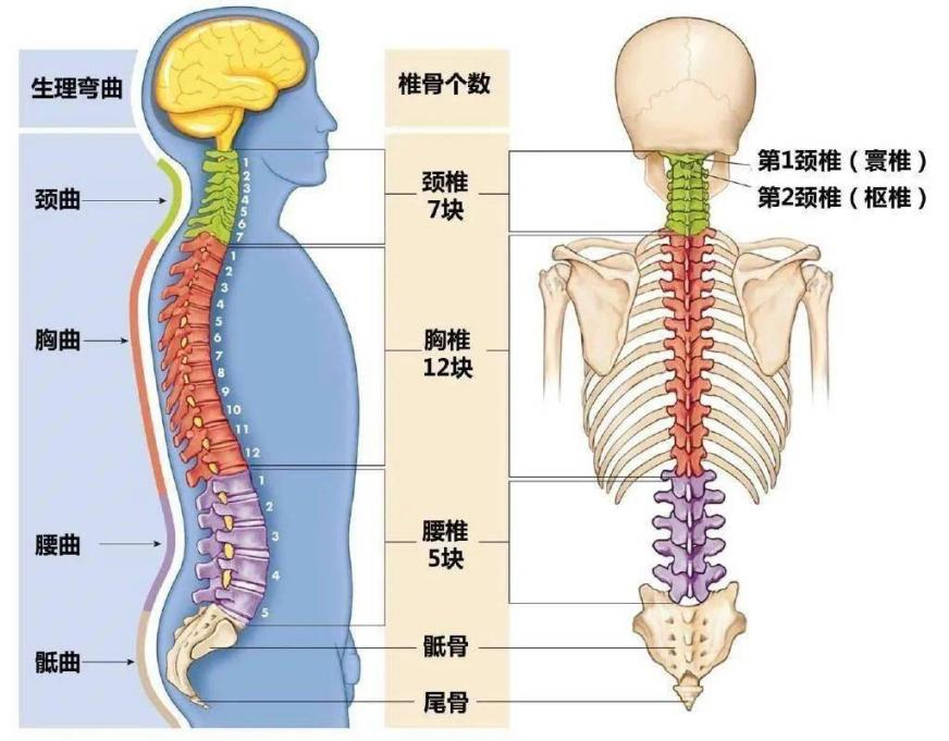 资讯