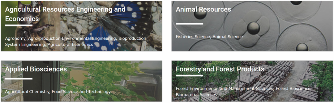 SGU本科项目｜日本7所大学的本科英文课程汇总(图7)