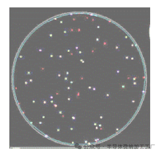 微信图片_20250707160241