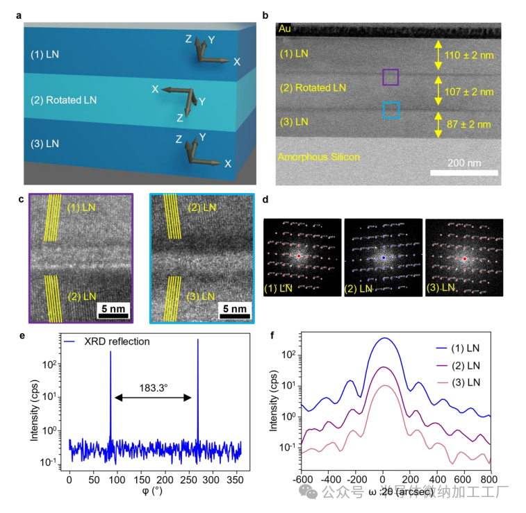 微信图片_20250320094942