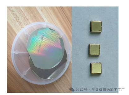 微信图片_20250213123912