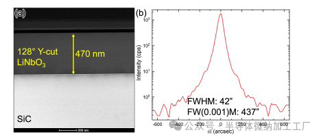 微信图片_20250213124924