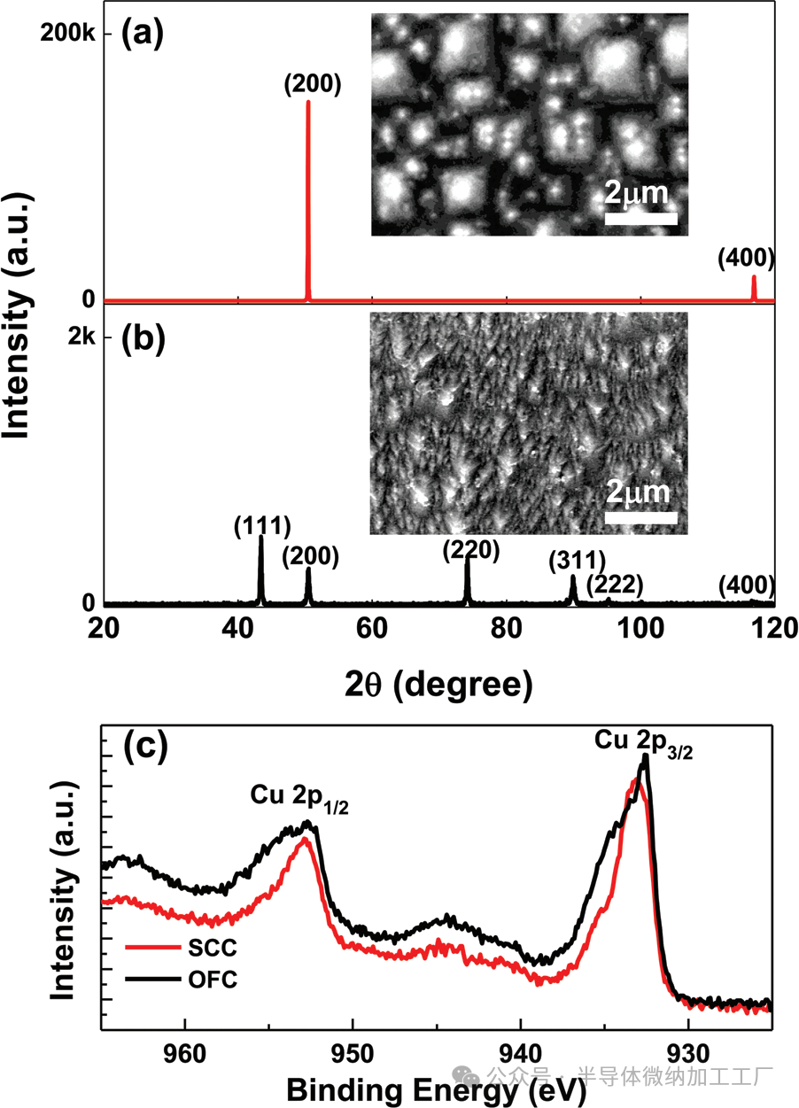 微信图片_20250309193853