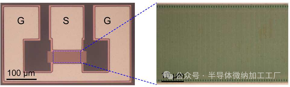 微信图片_20241206083011