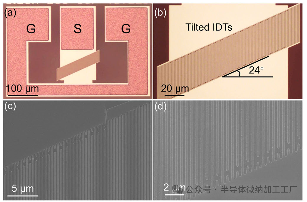 微信图片_20241205091416