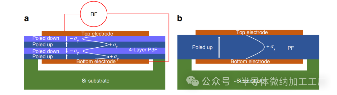 微信图片_20250131202733