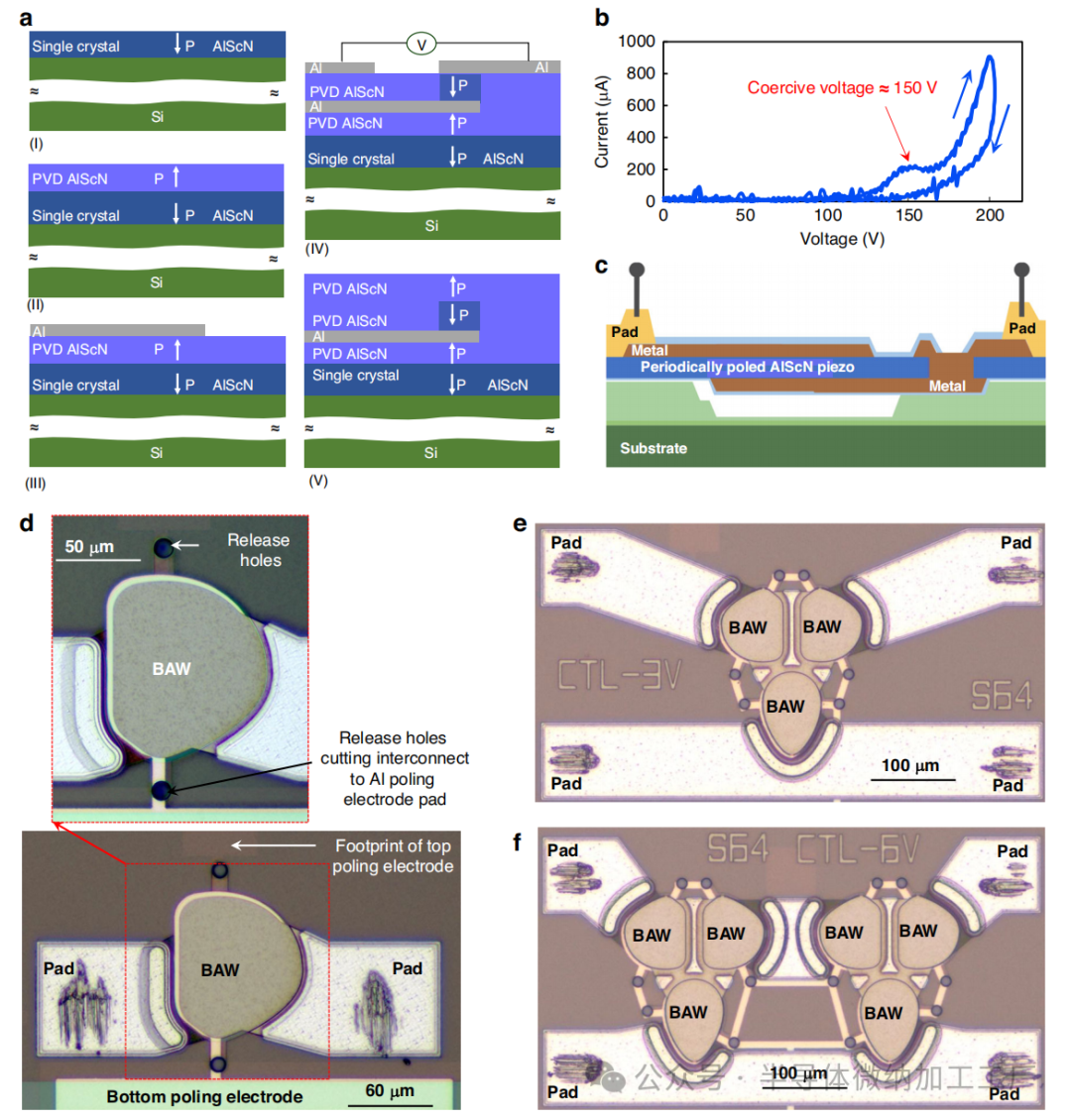 微信图片_20250131203512