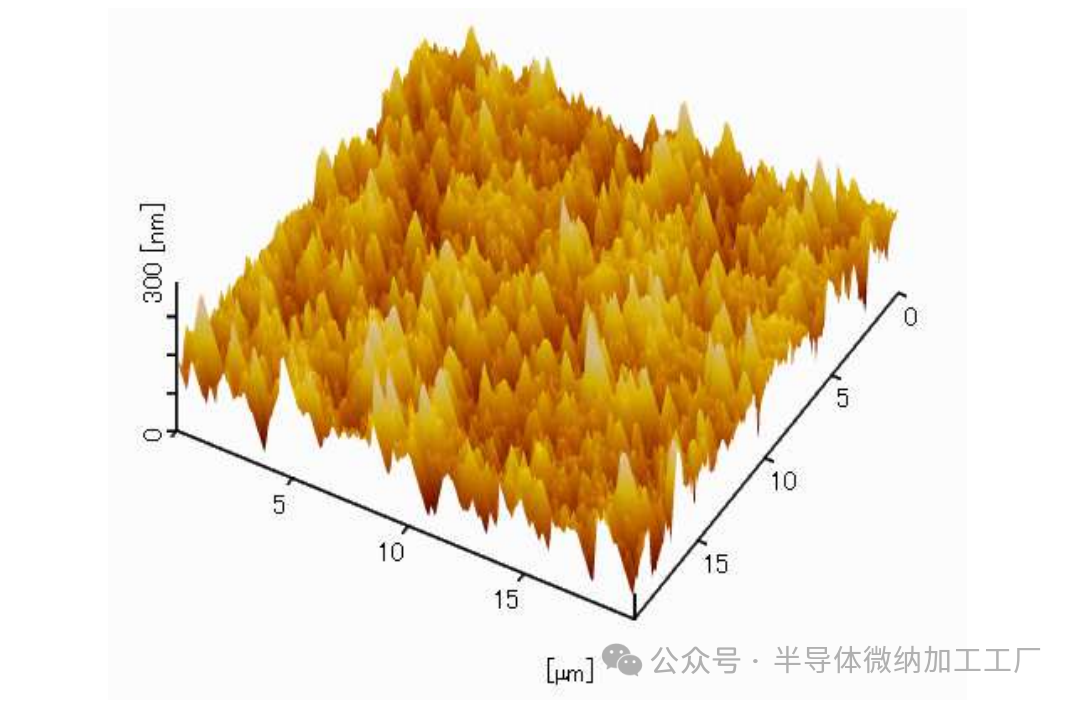 微信图片_2025-06-25_155101_692