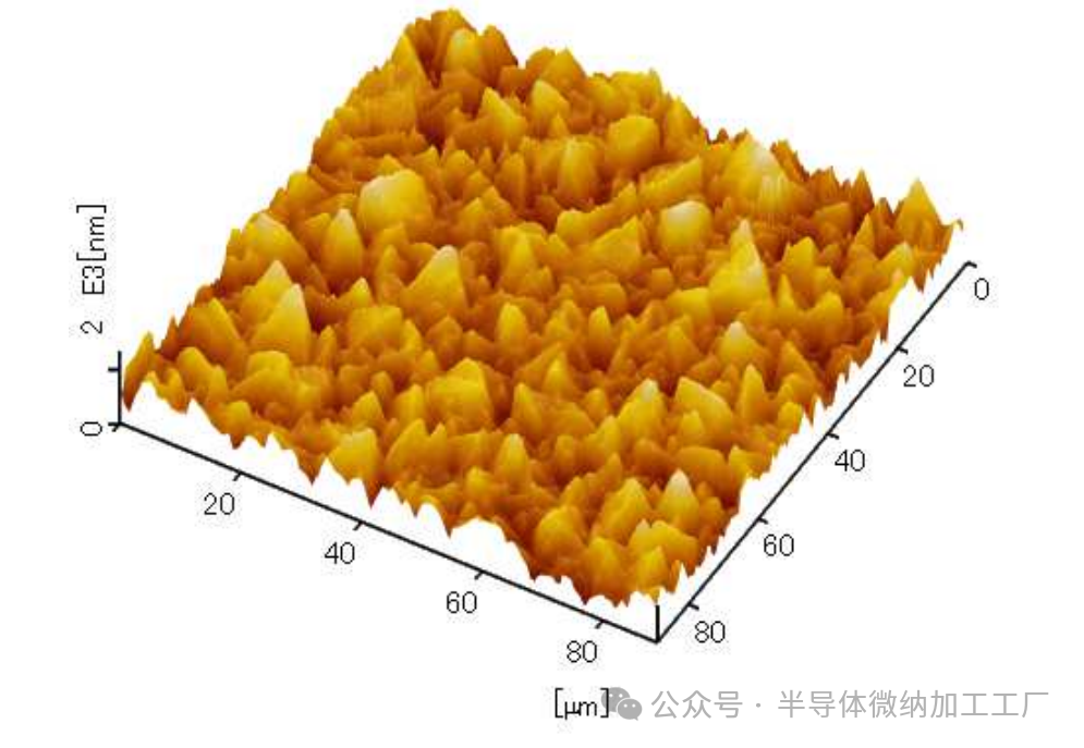 微信图片_2025-06-25_155049_370