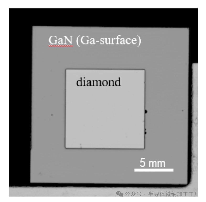 微信图片_2025-06-25_155112_993