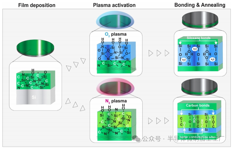 微信图片_2025-06-26_113128_474