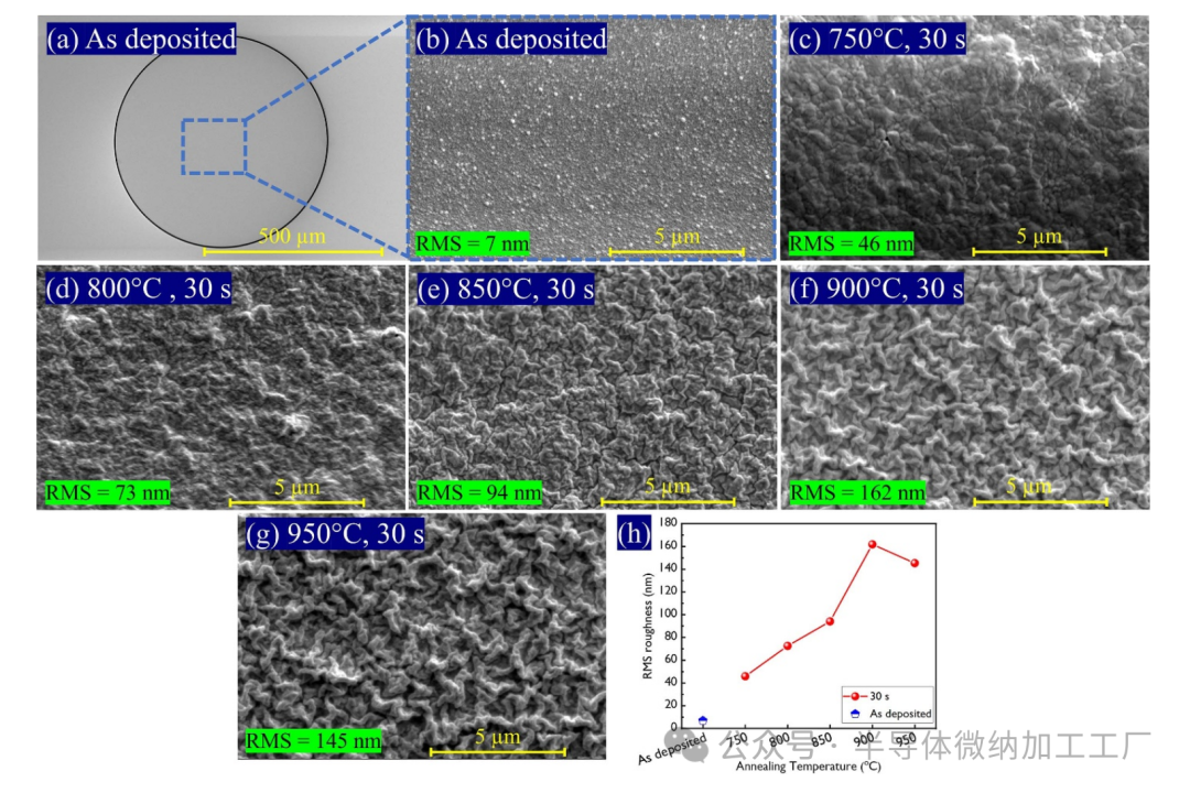 微信图片_20241115093623