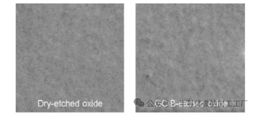 微信图片_2025-06-25_154343_446