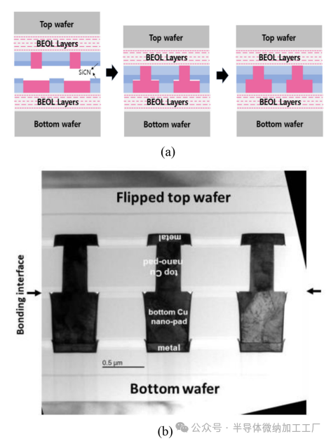 微信图片_2025-06-25_103351_212