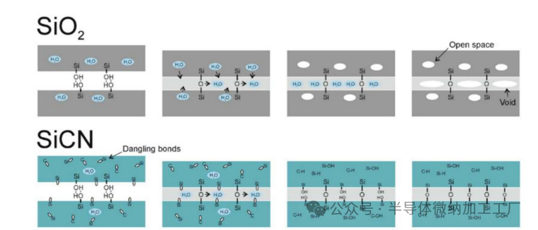 微信图片_2025-06-25_103456_929