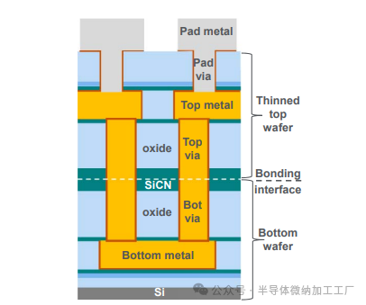 微信图片_2025-06-25_104842_917