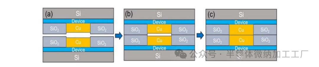 微信图片_2025-06-25_103347_312