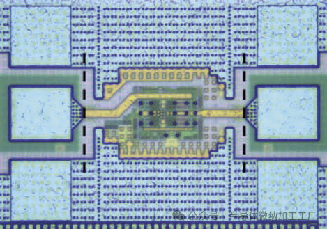 微信图片_20250708084239