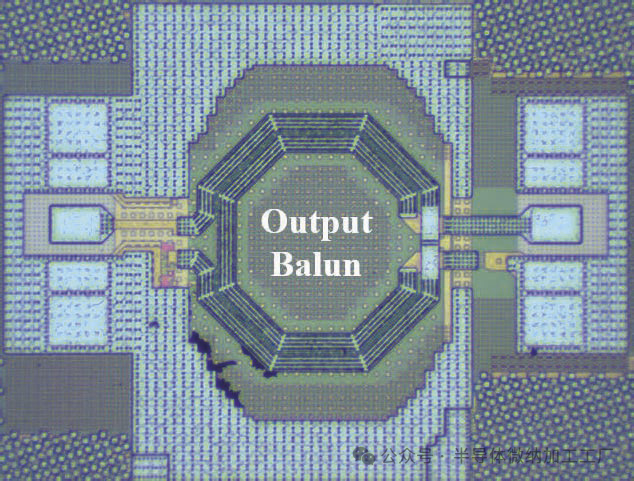 微信图片_20250708084431