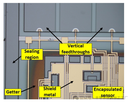 微信图片_20241230085126