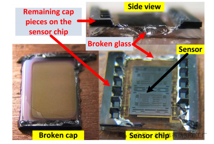 微信图片_20241230085200