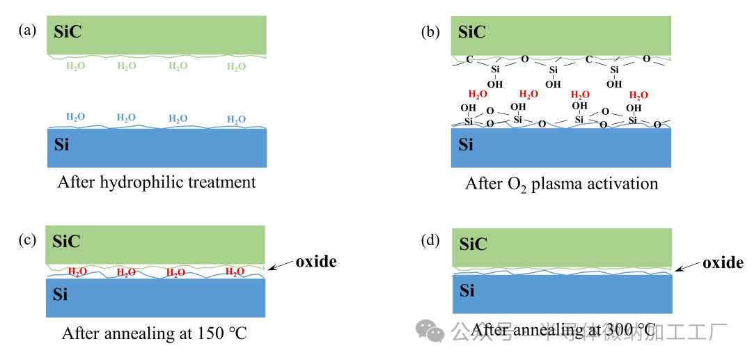 微信图片_20250325093643