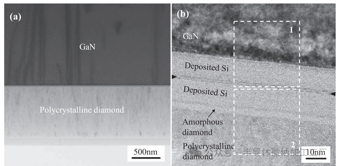 微信图片_20241228103738