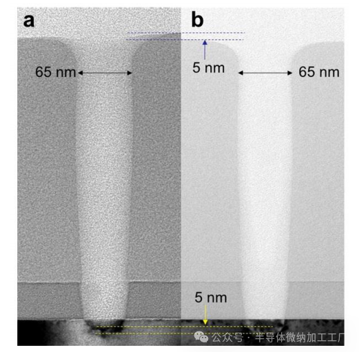 微信图片_2025-06-26_102804_404
