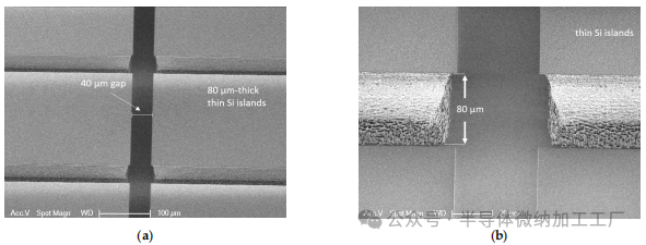 微信图片_20241209151846
