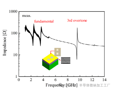 微信图片_20241203103925