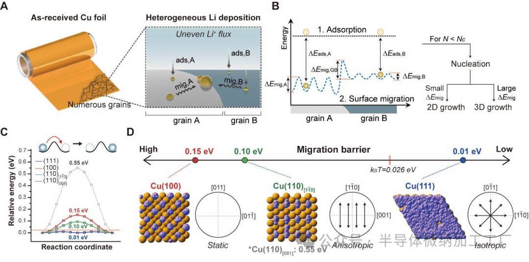微信图片_20250313093507