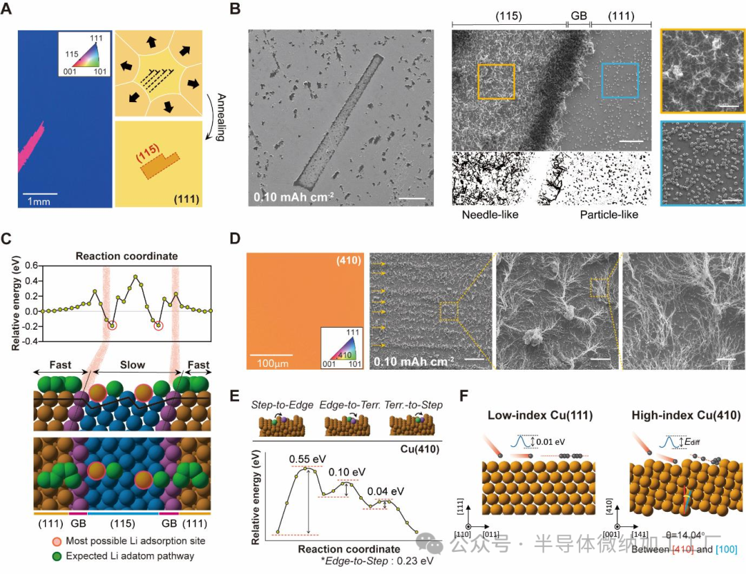 微信图片_20250313093514