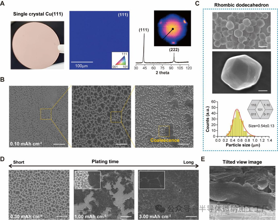 微信图片_20250313093510
