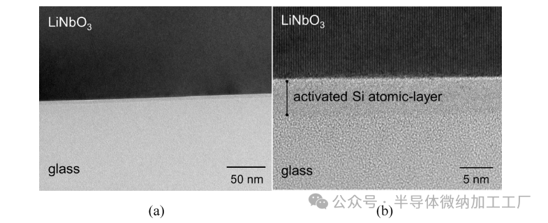 微信图片_20250102165302