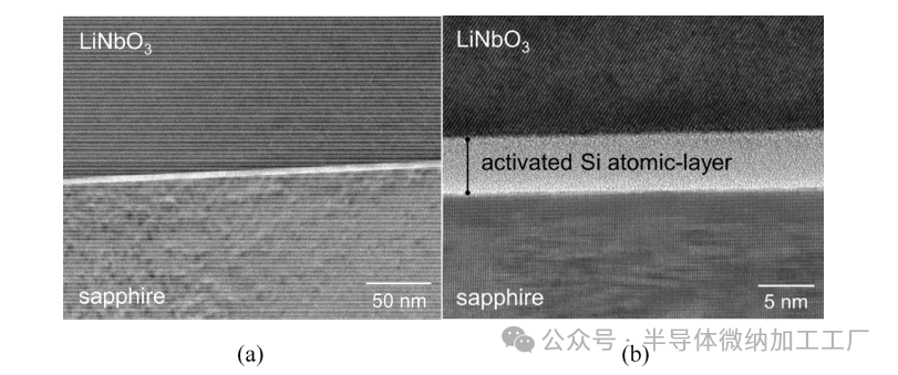 微信图片_20250102165305