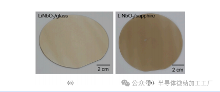 微信图片_20250102165251