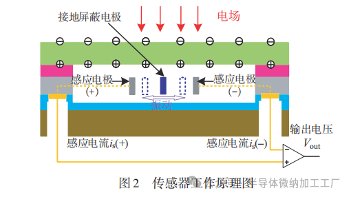 微信图片_20250102092006