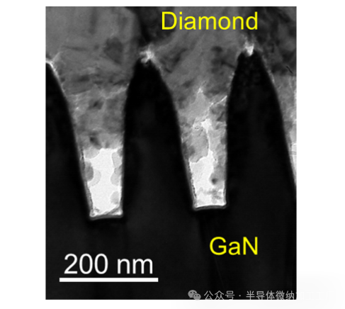 微信图片_20250331121814