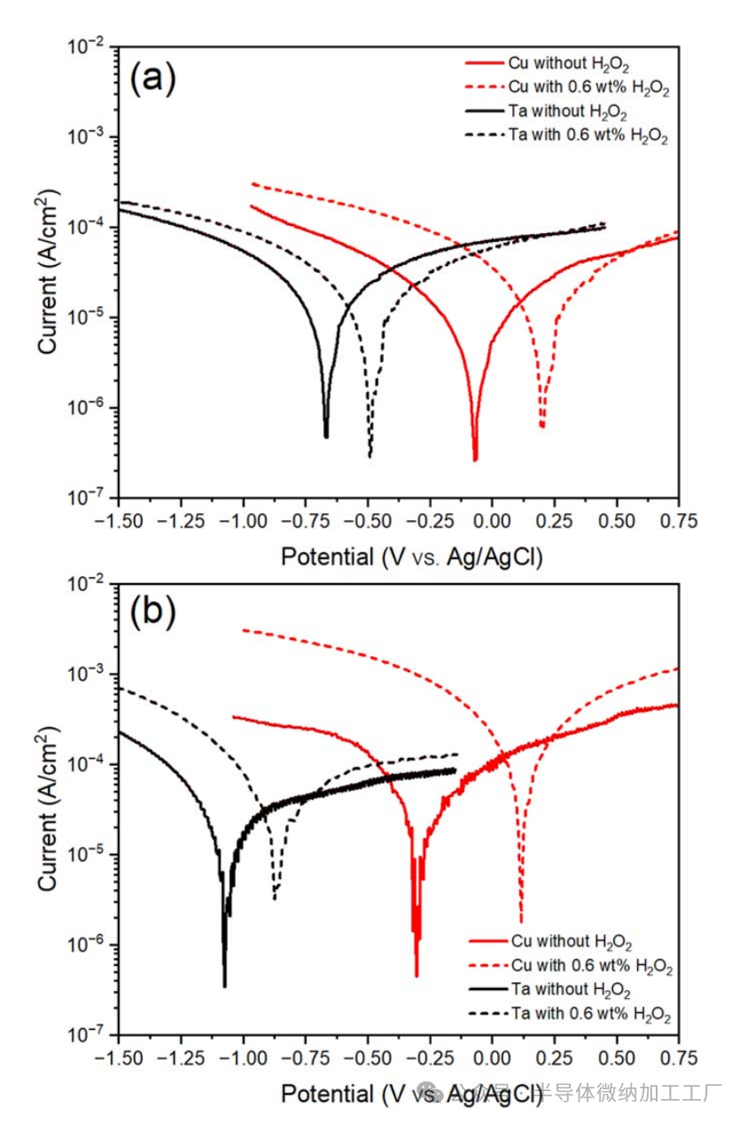 微信图片_2025-06-25_105922_656