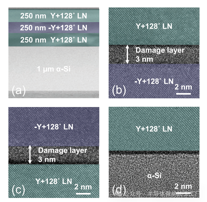 微信图片_2025-06-26_111551_410