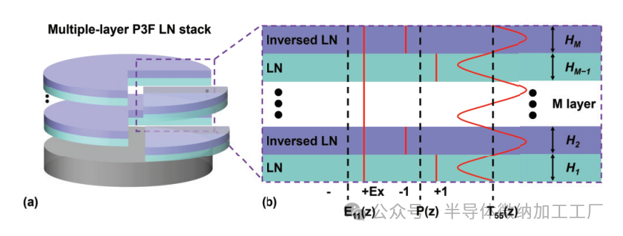 微信图片_2025-06-26_111109_352