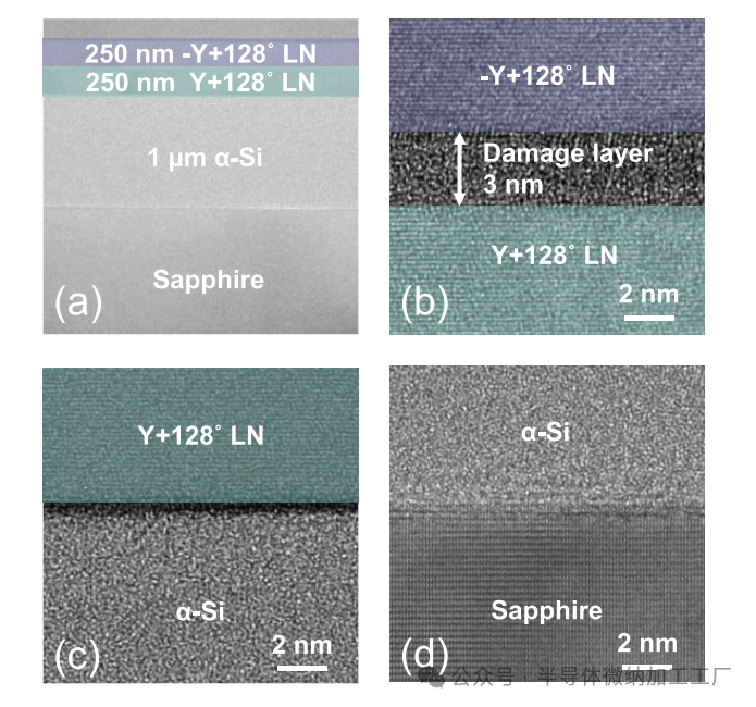 微信图片_2025-06-26_111546_105