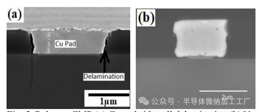 微信图片_2025-06-25_102548_589