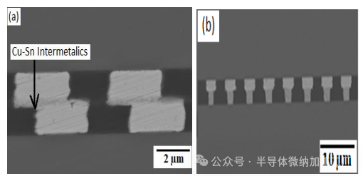 微信图片_2025-06-25_102606_422