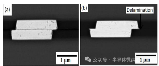 微信图片_2025-06-25_102558_047